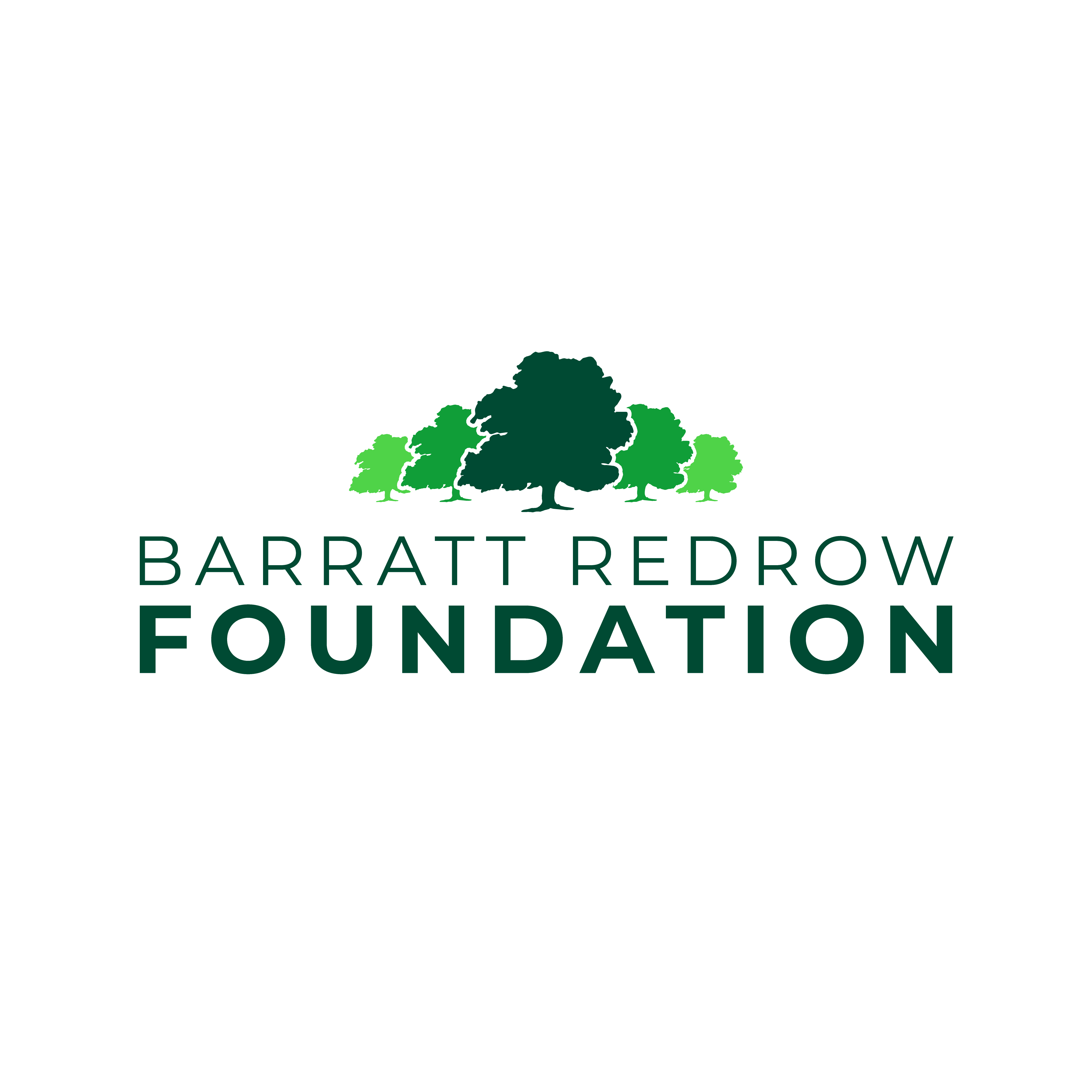 Barratt Foundation logo