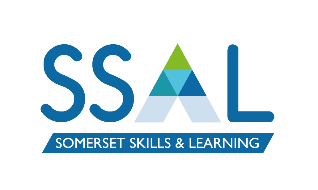 Somerset Council logo