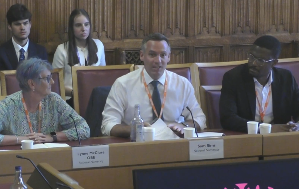 Lynne McClure, Sam Sims and Rotimi Merriman-Johnson giving evidence at the Select Committee