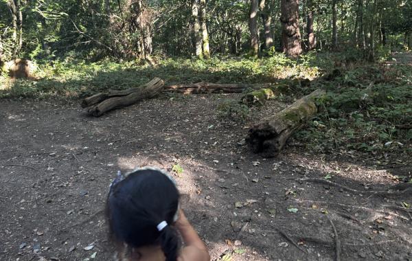 A girl pointing at some logs in a wood
