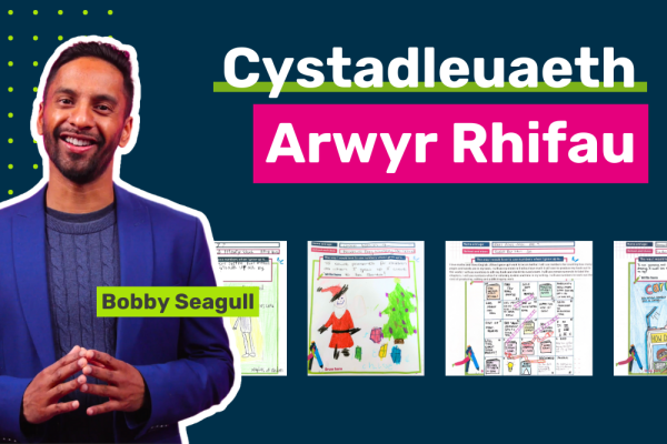 Image of Bobby Seagull with text saying "Cystadleuaeth Arwyr Rhifau"