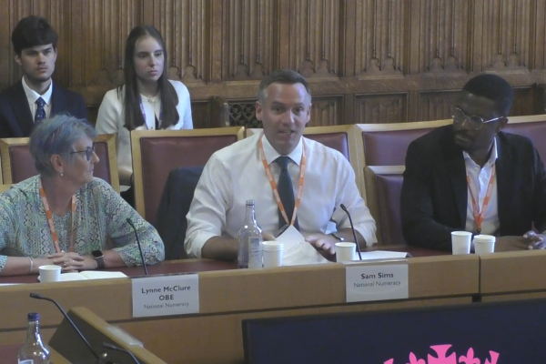 Lynne McClure, Sam Sims and Rotimi Merriman-Johnson giving evidence at the Select Committee