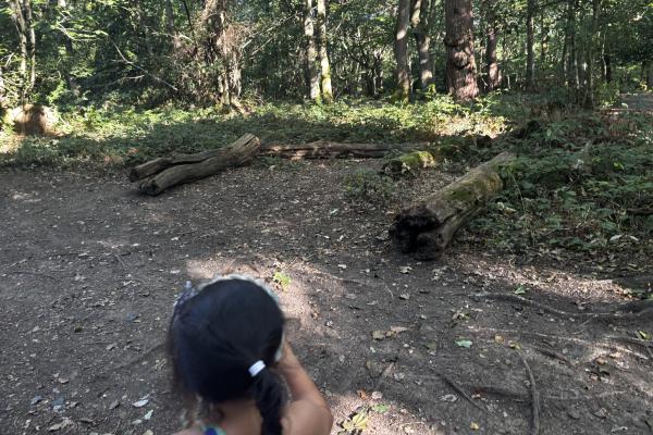 A girl pointing at some logs in a wood